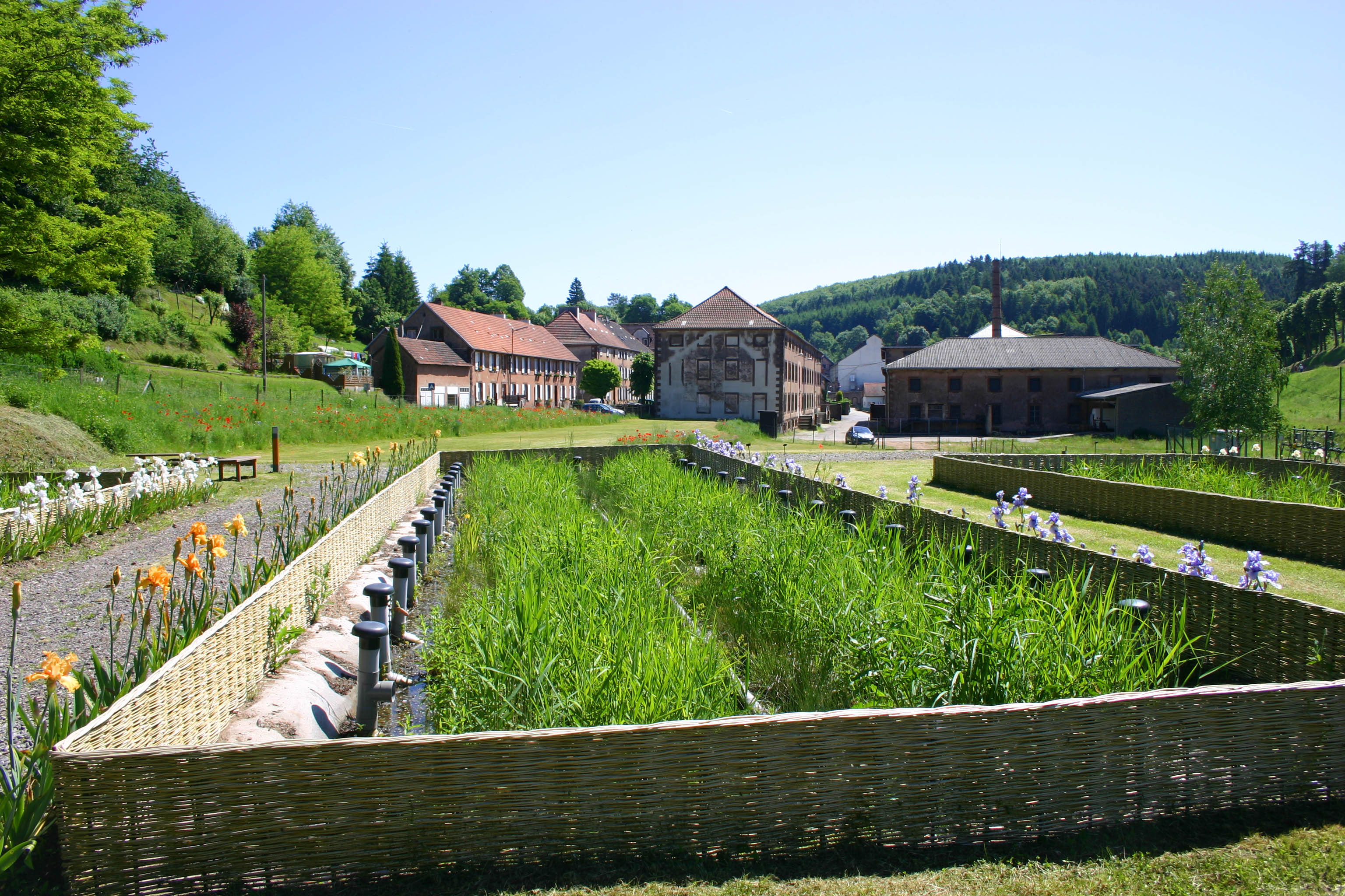 Les jardins filtrants de Saint-Louis